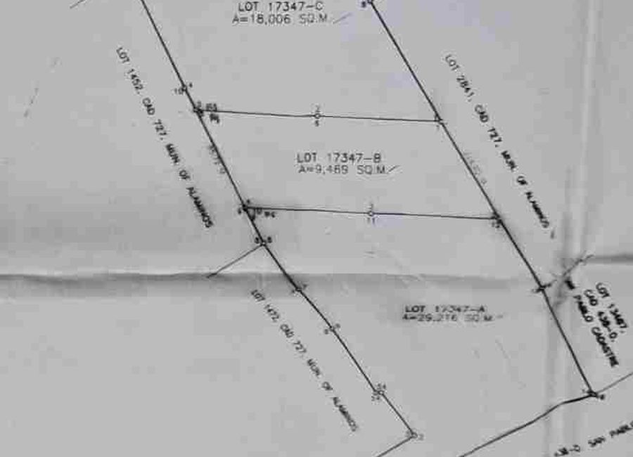 San Francisco - San Isidro Road, Santisimo Rosario, San Pablo, Laguna image 3
