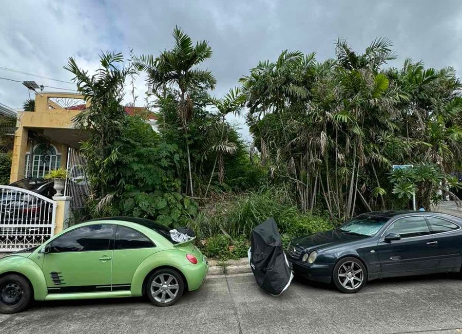 Residential Corner Lot Alpha Executive Homes | Lamudi.com.ph