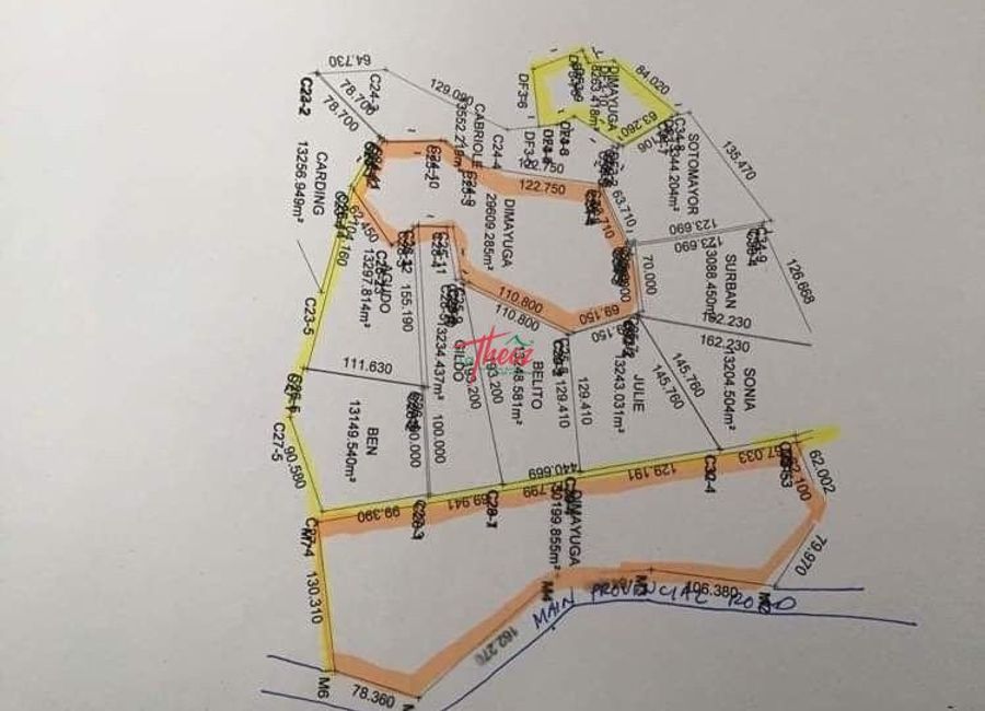 Jose Rizal Avenue, Lirio ibaba, Poblacion Ⅲ, Poblacion, Ilaya Palina, Nagcarlan, Laguna image 2