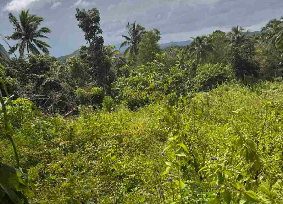 place photo 13