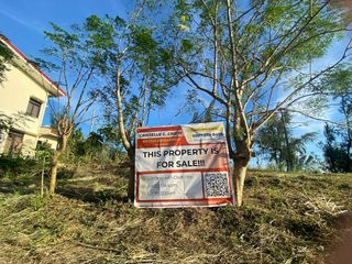 LOT ONLY IN WOODLANDS SUBDIVISION IN CALAMBA CITY