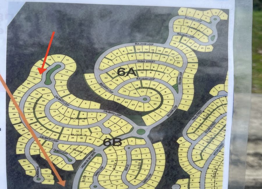 Spine Road, Ayala Greenfield Estates, Maunong, Calamba, Laguna image 3