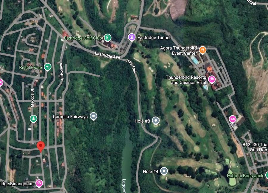 Eastridge Avenue, Village East 3, San Roque, Mata, Binangonan, Rizal image 3