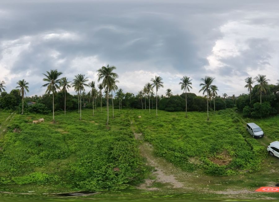 place photo 15