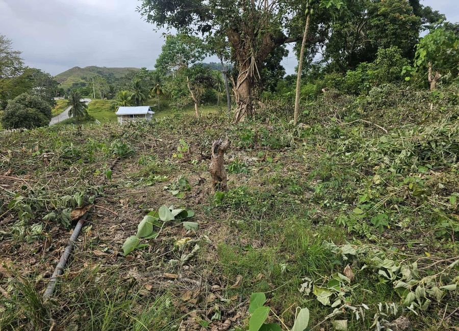 place photo 28