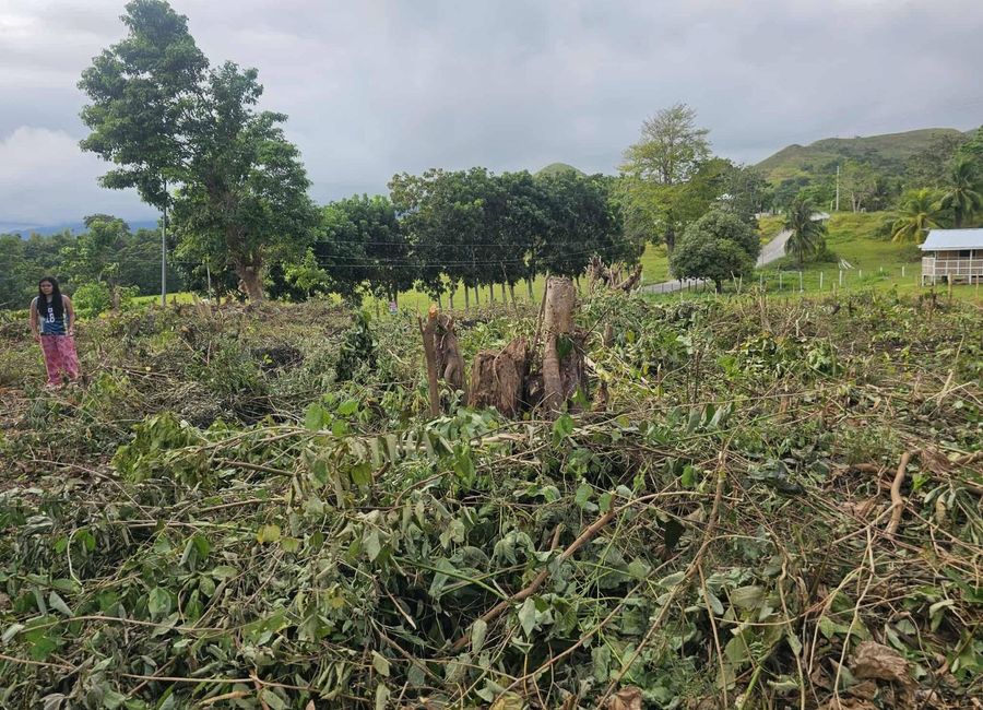 place photo 31