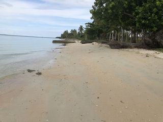 Bantayan Beach Lot for Sale