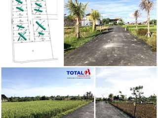 Sisa 3 Kavling, Ekonomis lokasi Penatih