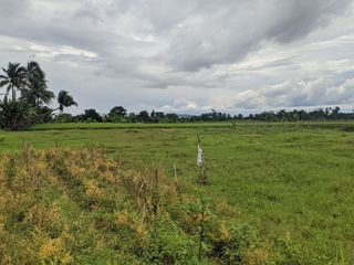 Tanah Murah 80 Jt-an View Gunung Salak
