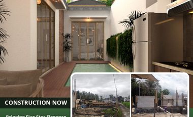 ECO VILLA HARGA MIRING PROMO 11.11 DI UBUD BALI