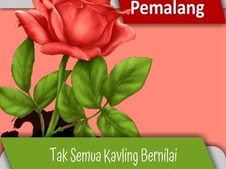 Tanah Dekat Pasar Ulujami, Diskon 25%, Cicil 12x Tanpa Bunga
