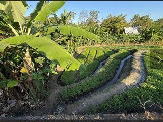 Leasehold - Rare Riverside Leasehold Land in Padonan, Canggu Area