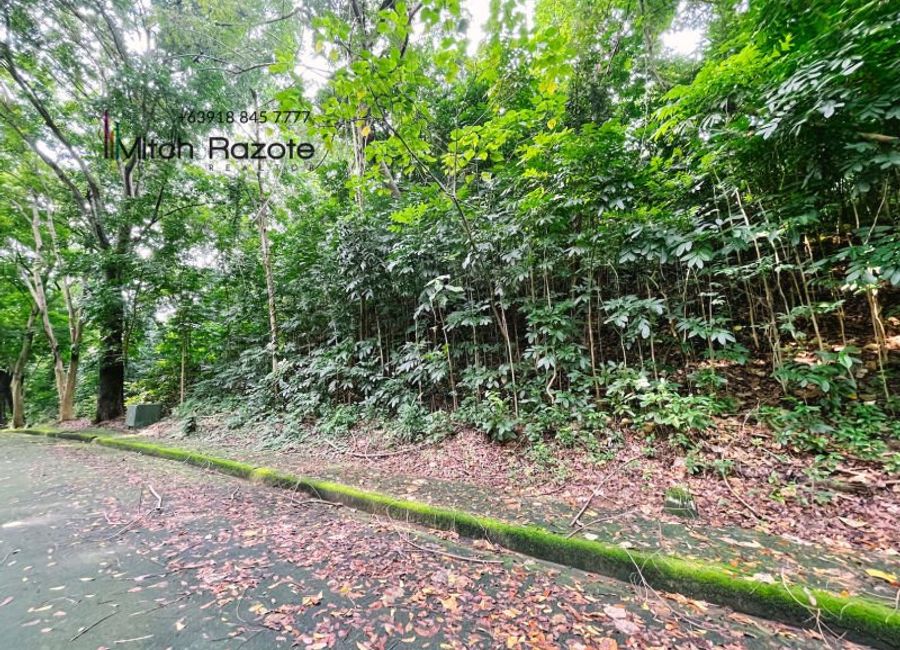 Kingsway, Town & Country Estates, Santa Cruz, Antipolo, Rizal image 2