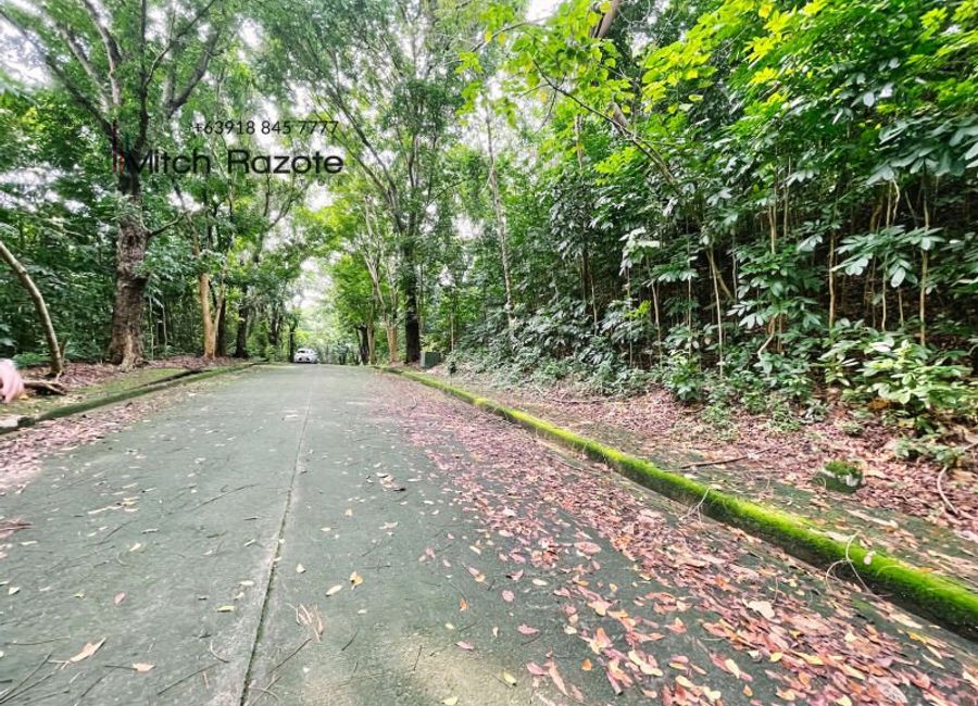 Kingsway, Town & Country Estates, Santa Cruz, Antipolo, Rizal image 3