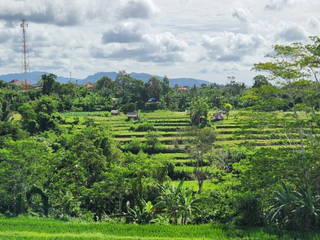 TANAH VIEW SAWAH & GUNUNG DEKAT PANTAI TULIKUP GIANYAR, BALI