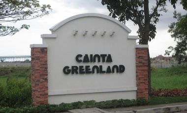 CAINTA GREENLAND COMMERCIAL and RESIDENTIAL LOT FOR SALE