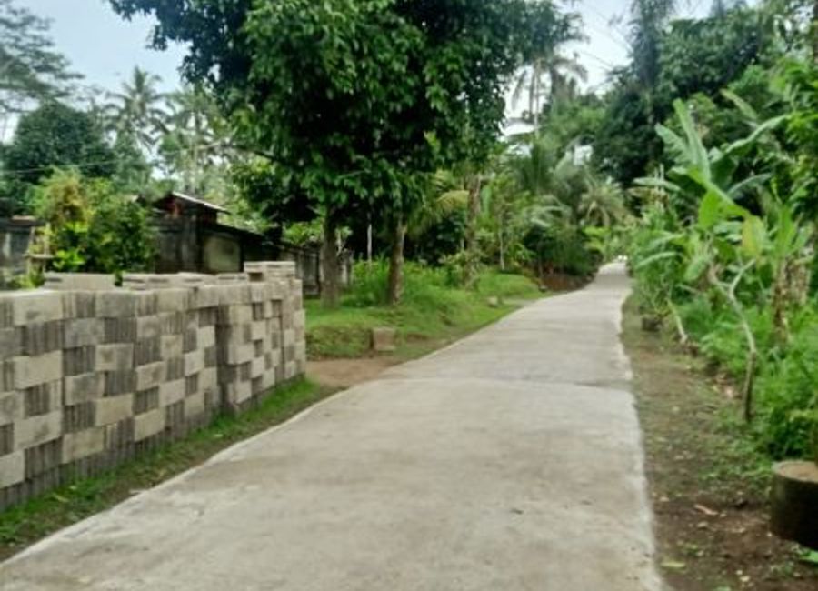 LAHAN MURAH COCOK UNTUK INVESTASI DI AREA WISATA TEGALALANG | Lamudi.co.id