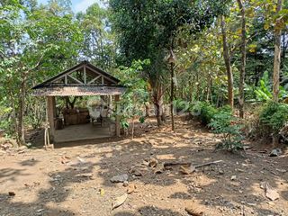Dijual Tanah di Dawe Kudus