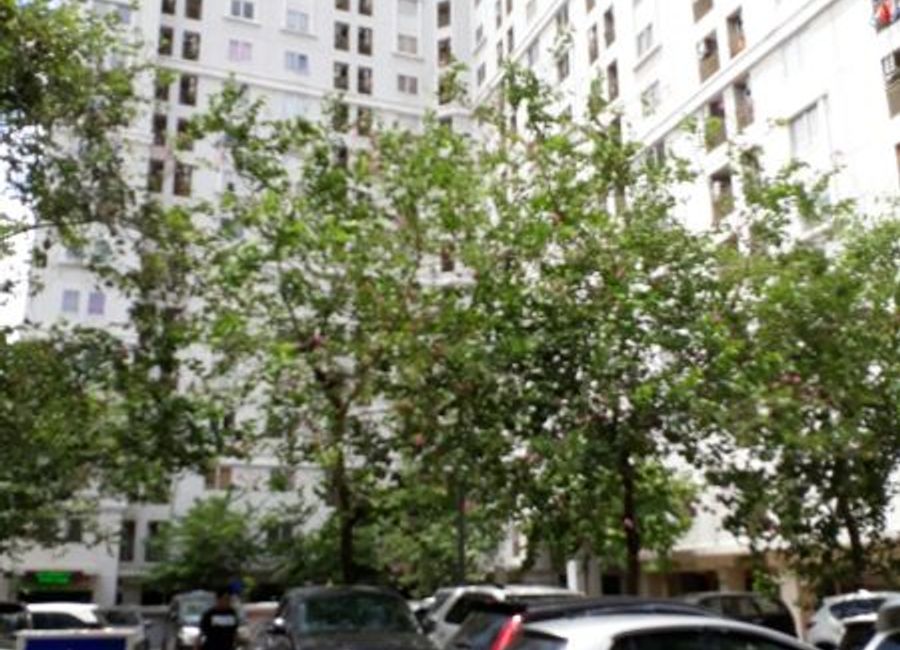 place photo 7