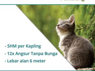 Dekat Kota Pemalang, Tanah Murah Pesona Kaligelang, Zona Kuning