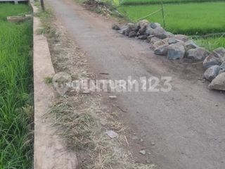 Jual Cepat Tanah Kebun dan Sawah Daerah Cianjur
