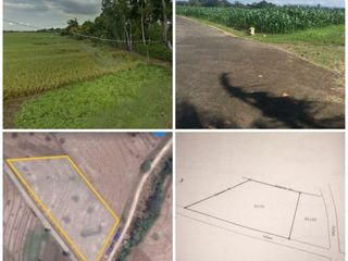 Tanah Ekslusive Buc View Sawah di Kerambitan Tabanan