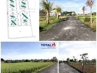 BUC Kavling Paling Murah di Penatih