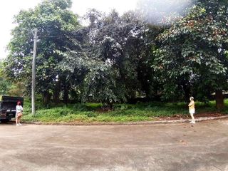 FOR SALE 300sqm flat land in Sun Valley Antipolo