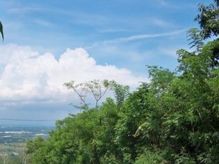 Disewakan Tanah Strategis *Daerah Jajar Tutur - Pasuruan