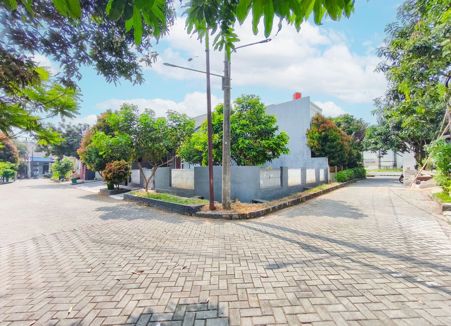 place photo 29