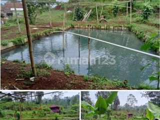 Dijual Tanah Murah Daerah Wisata Jl. Pasir Jambu Ciwidey Bandung
