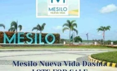 inner lot For sale in mesilo Nueva Vida in dasmarinas Cavite