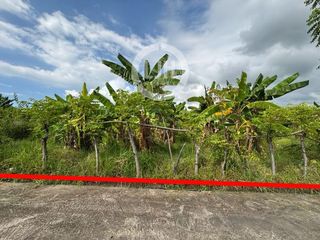 Land For Sale In Dencarik, Buleleng, Walking Distance to Banjar Beach