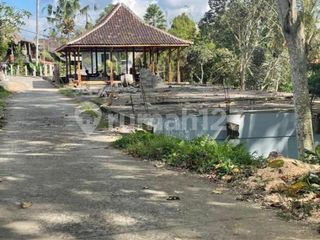 Jual Tanah Bonus 6 Villa Siap Huni Gianyar Ubud