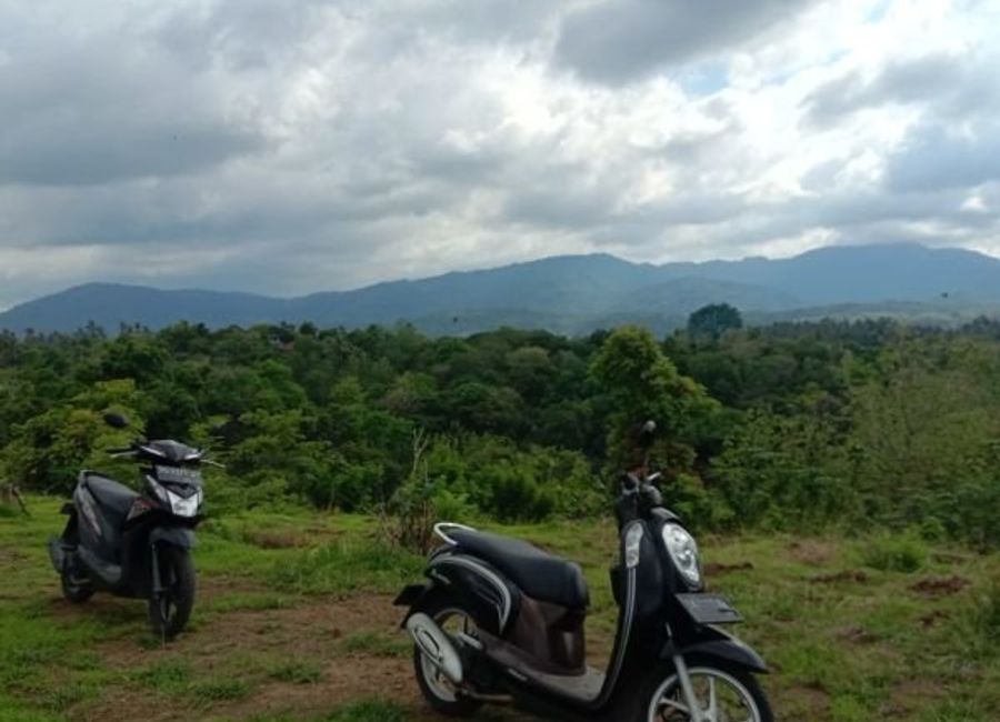 place photo 7