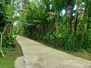 DIJUAL LAHAN TANAH KEBUN HARGA TERMURAH DI TEGALALANG