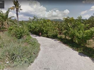 Alaminos vacant lot