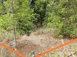 Jual Tanah Murah di Daerah Kayu Putih Buleleng