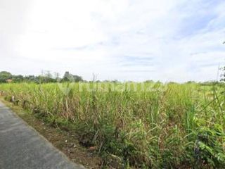 Tanah Luas Strategis Bagus di Bae Kudus A5985