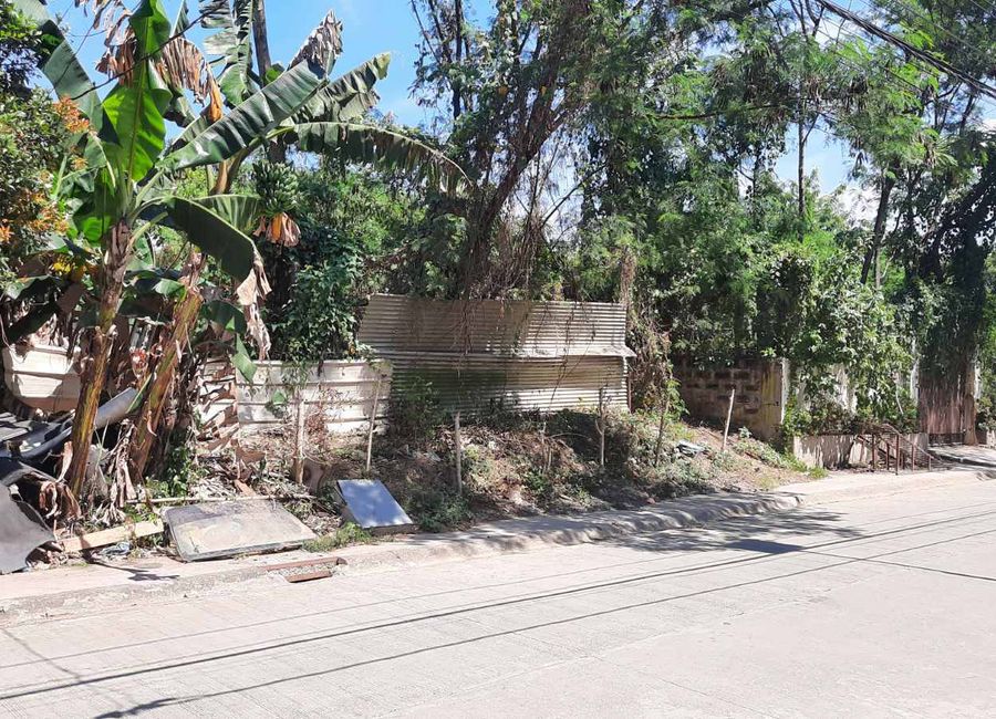Ruby Street, Teremil, Mambugan, Antipolo, Rizal image 3