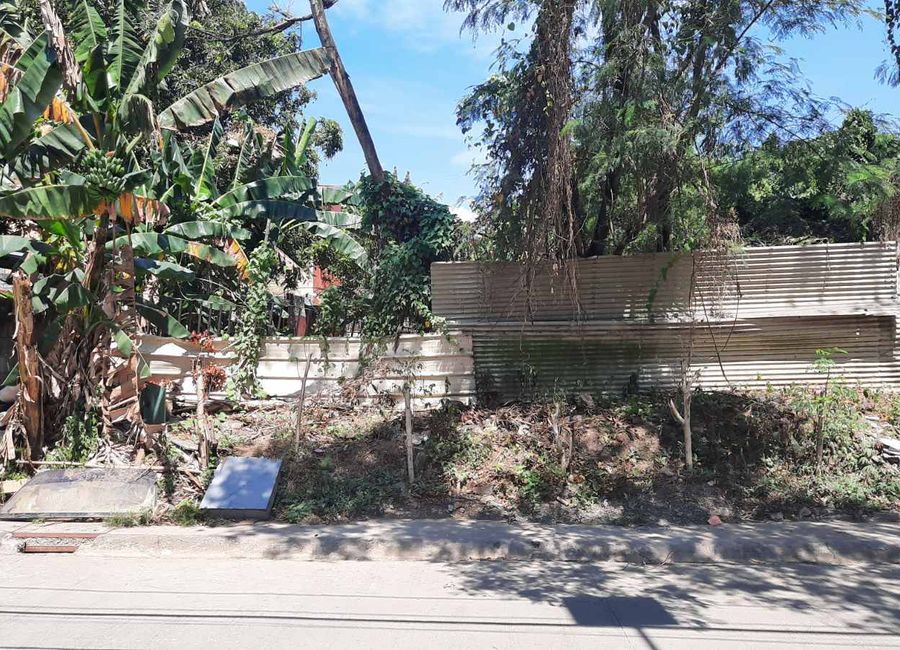 Ruby Street, Teremil, Mambugan, Antipolo, Rizal image 2