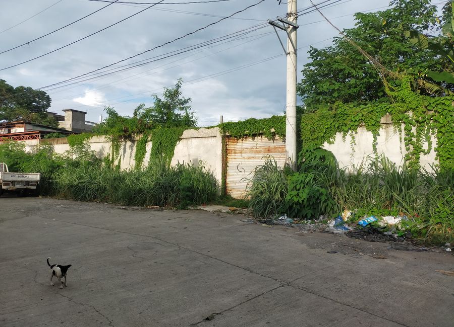 National Highway 1, Parian, Calamba, Laguna