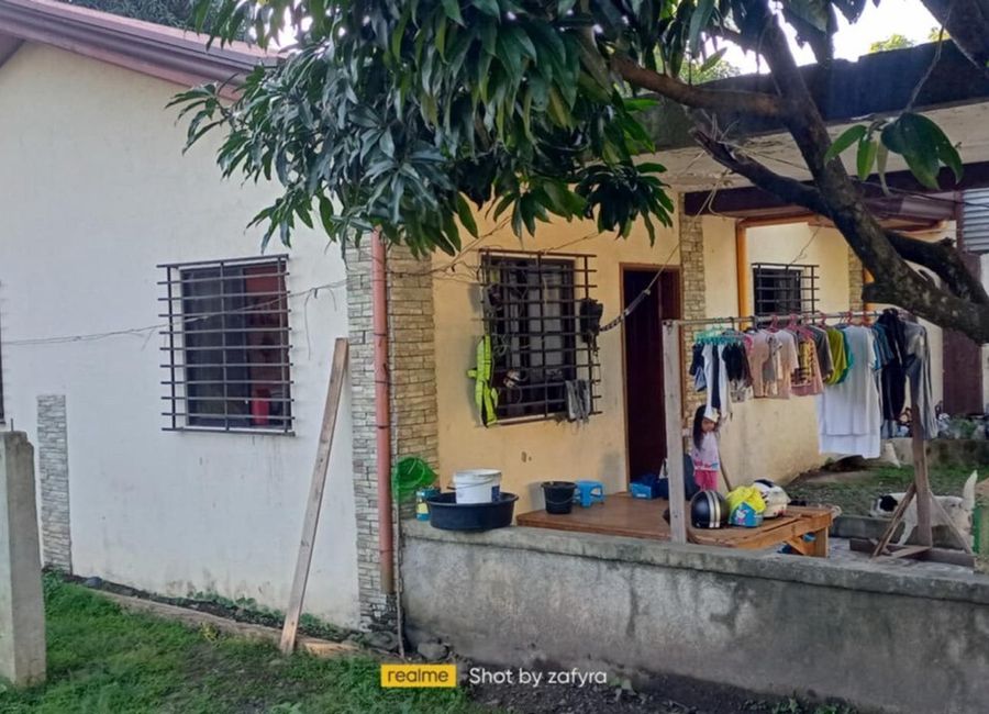 Chelsea, Santa Catalina 1, Mission Hills, Angono, Rizal image 3