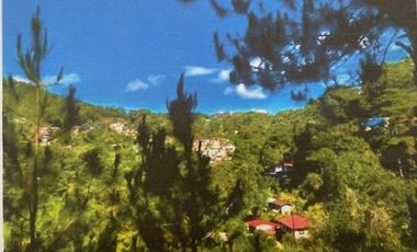 For Sale: Baguio City Entire Residential Subdivided RawLand for Sale
