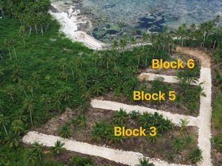 Beach Lot for sale in Siargao, Surigao Del Norte