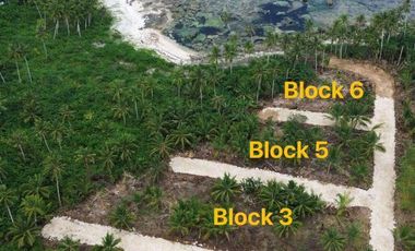Beach Lot for sale in Siargao, Surigao Del Norte