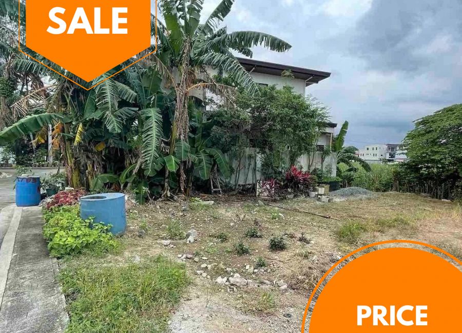 Aster Street, Madera Homes II, San Andres, Cainta, Rizal