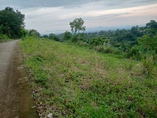 VACANT LOT FOR SALE IN CALACA BATANGAS