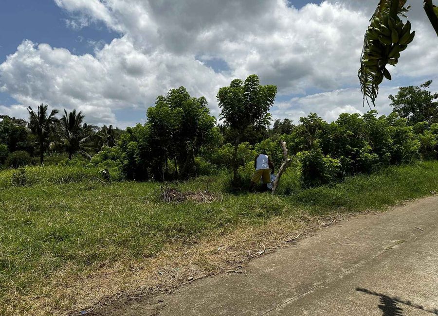 place photo 10
