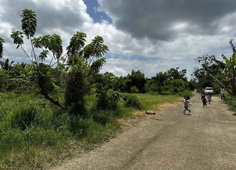 Rodeo Countryside Estate, Mangas II, Esperanza Ilaya, Alfonso, Cavite image 3